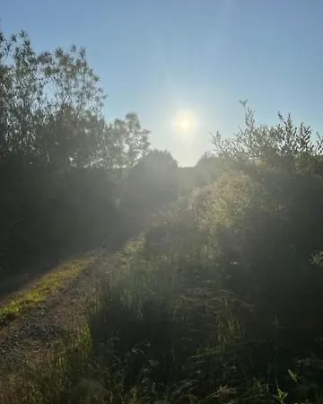 The Haycart 营地 *