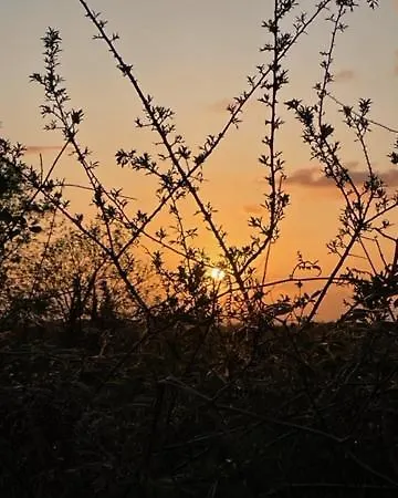 The Haycart Tobar Pheadair