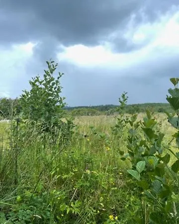 营地 The Haycart Tobar Pheadair