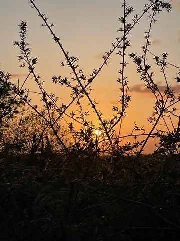 The Haycart Tobar Pheadair