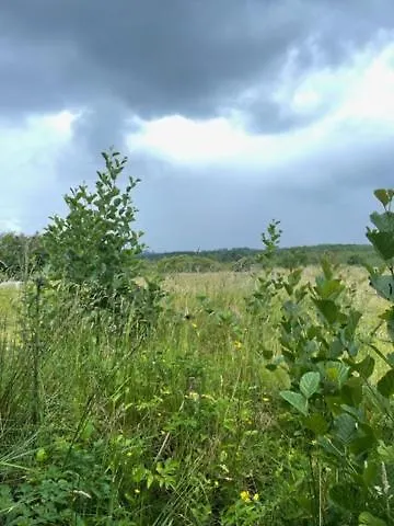 Кемпинг The Haycart Tobar Pheadair